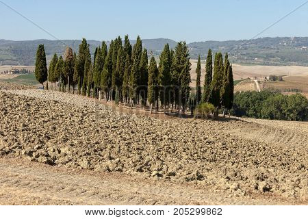 The rural landscape of the Tuscany. Italy