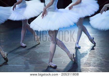 performance, choreography, dancing concept. elegant legs of amasing beautiful ballerinas standing in identical poses of graceful and dignified birds, snowy white swans
