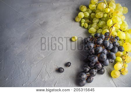 Organic Food Concept