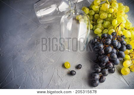 Organic Food Concept