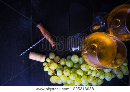 Organic Food Concept