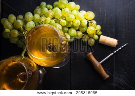 Organic Food Concept