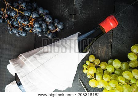 Organic Food Concept