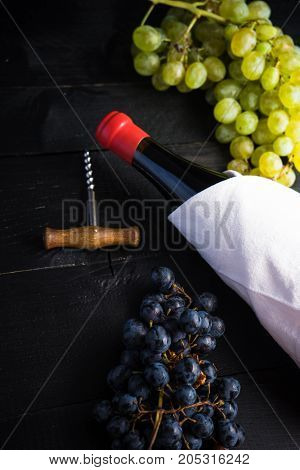 Organic Food Concept