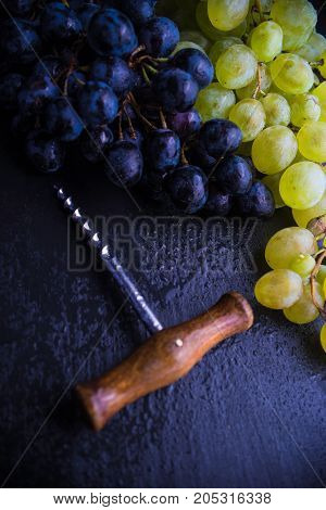 Organic Food Concept