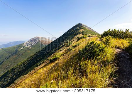 Carpathians a hiking trail along the Central Gorgan Mountains to Mount Sivulya V.