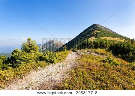 Carpathians a hiking trail along the Central Gorgan Mountains to Mount Sivulya V.