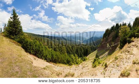 Carpathians coniferous forest on the tourist route