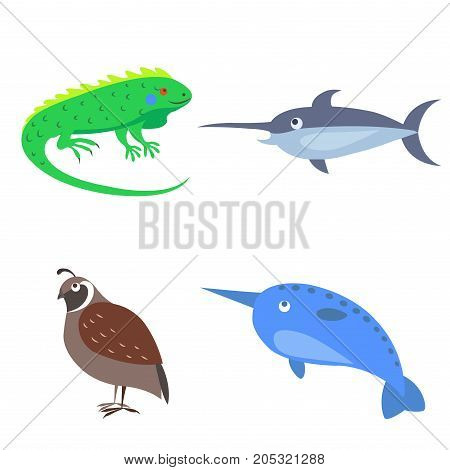 Vector illustration of green iguana, sharp-nosed narval and xiphias, brown quail on practicing images. Kindergarten educational material. Set of four wild animal for children on white background.