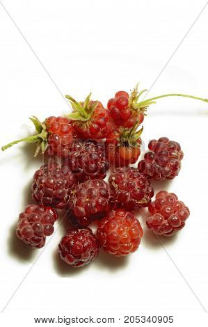 sweet raspberry to withe background. Food. Vegetable.