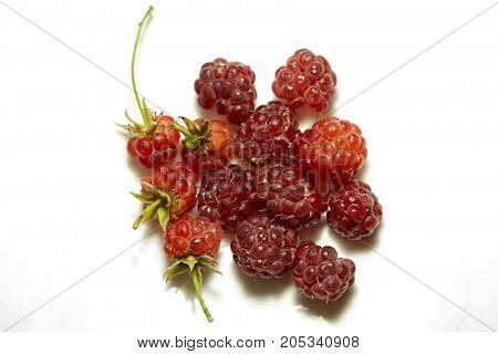 sweet raspberry to withe background. Food. Vegetable.