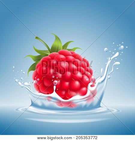 Raspberry In Water Splash