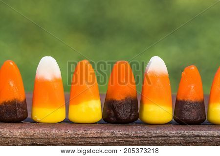 Horizontal photo of seven candy corns in a row on a wood base