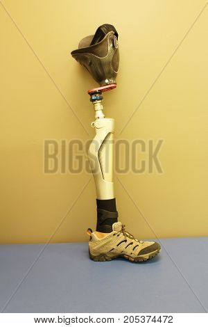Leg prosthesis with socket and shoe, vertical aspect