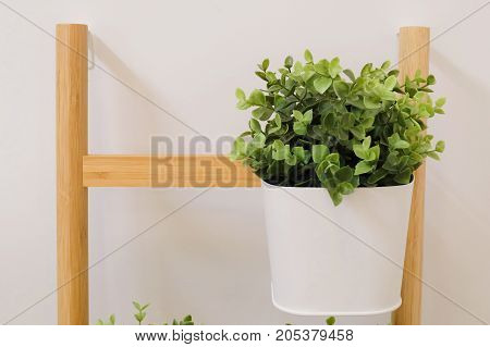 Artificial Green Plants in A White Metal Flower Pots Stand on The Wooden Shelves for Home and Office Decoration without The Care.