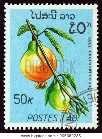 LAOS - CIRCA 1989: A stamp printed in Laos from the 