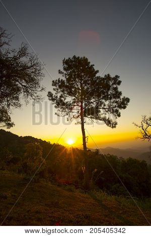 Chiang Mai Thailand Viewpoints National Parks Mountainous terrain