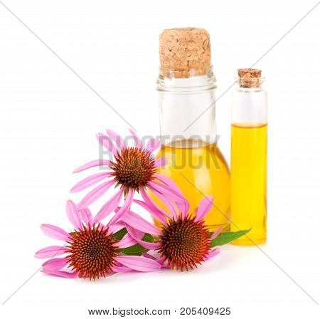 Essential oil of Echinacea purpurea isolated on white background.