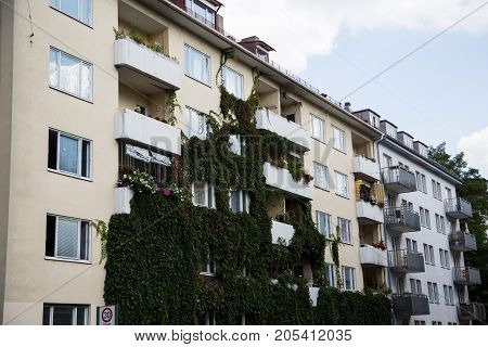 House covered with ivy, real, estate, housing,
