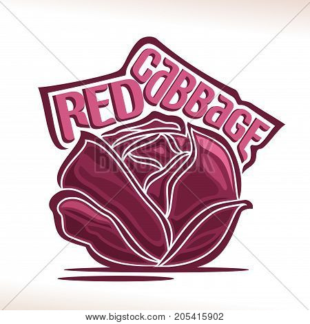 Vector logo for fresh Red Cabbage: label with whole violet cabage, still life with cole & original decorative font for purple text red cabbage, poster with farming kale vegetable on white background.