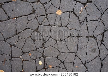 Old cracked asphalt on the road. There are two yellow leaves on the surface. Background