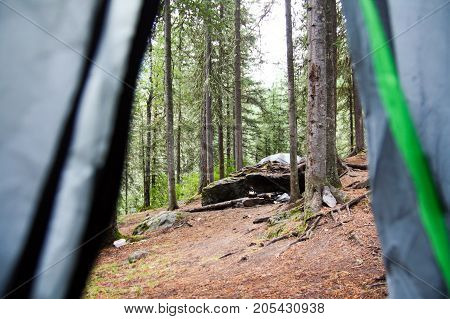 Russia, Republic of Altai. Very beautiful pictures of nature in Altai
High snow-capped mountains, fast, noisy mountain rivers, beautiful meadows and fields and woods - the nature of mountain Altai