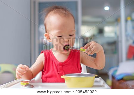 Portrait of Cute little Asian 20 months / 1 year old toddler baby boy child eating healthy food from fork & spoon Children feeding himself Self Feeding With Spoon Encouraging Independence concept
