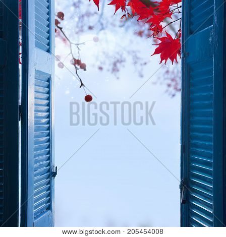 room with open blue window shutters to - garden with red maple leaves and blue sky