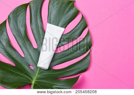 Cosmetic bottle containers with green herbal leaves on the pink background