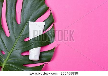 Cosmetic bottle containers with green herbal leaves on the pink background