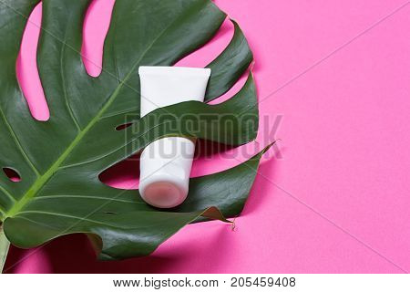 Cosmetic bottle containers with green herbal leaves on the pink background