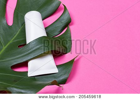 Cosmetic bottle containers with green herbal leaves on the pink background