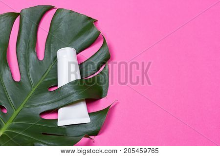 Cosmetic bottle containers with green herbal leaves on the pink background