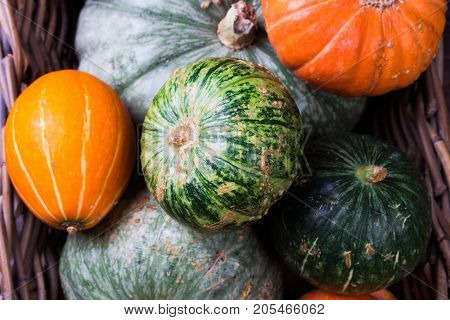 Autumn still life with pumpkins and flowers. Autumn Pumpkin Thanksgiving Background - pumpkins over wooden table