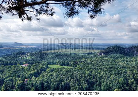super nature in bad schandau suitable as a background or abstract