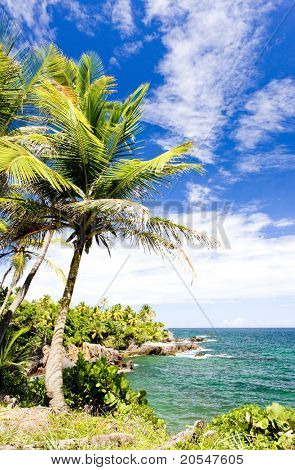 Balandra Bay, Trinidad