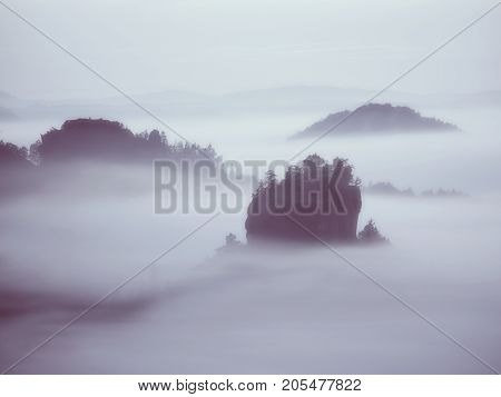 View Into Misty Valley. High Trees And Rocky Peaks Increased From Thick Fog.  The First Sun Rays