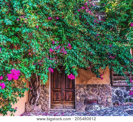 Rusic door surrounded by plants in Italy