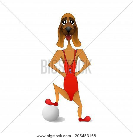 dog football coach. foot on the ball. cartoon character