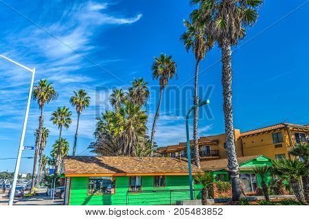 Palm trees in Pacific Beach in California