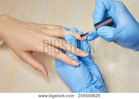 Beautician applying colorless varnish. Close up of woman in blue gloves applying nail varnish to finger nails. Woman having nail manicure in beauty salon.