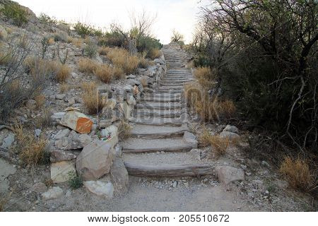 Rio Grande Village Nature Trail, Big Bend National Park, Texas
