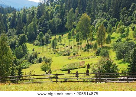 Mountain Landscape In Carpathian