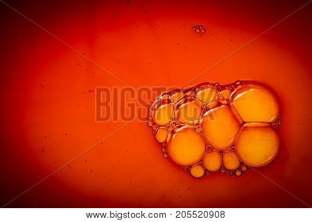 Colorful Water Bubles On Water As Background
