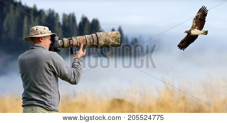 Professional Wildlife Photographer