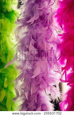Beautiful Bird Feathers For Decorative Aims