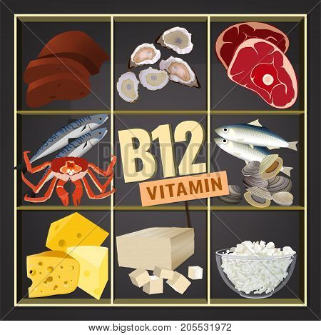 High vitamin B12 Foods. Healthy seafood, meat, fish, crab, cottage cheese, liver and oysters. Vector illustration isolated on a dark grey background.