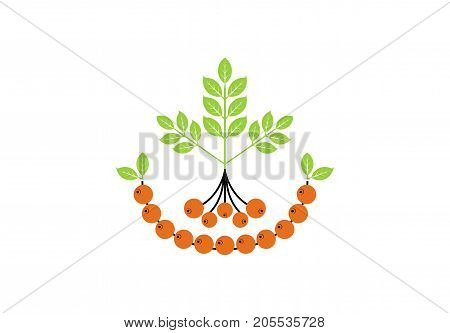 Rowan icon or logo in modern line style. Vector illustration on a white background
