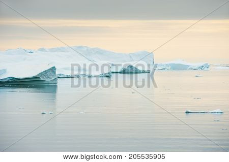 Icebergs In Greenland
