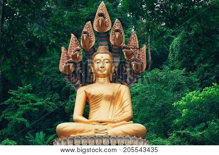 Asian Thai Golden Buddha Sitting With Naka Snake In The Forest